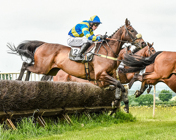Race 2 - PPORA Members Novice Riders  (46 of 112).jpg