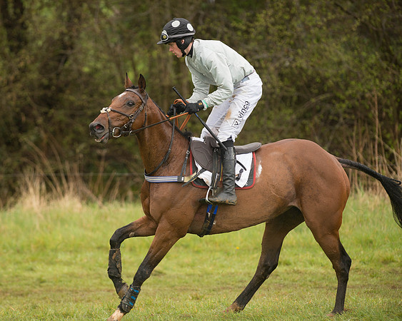 Race 5 - Open Maiden (42 of 147).jpg