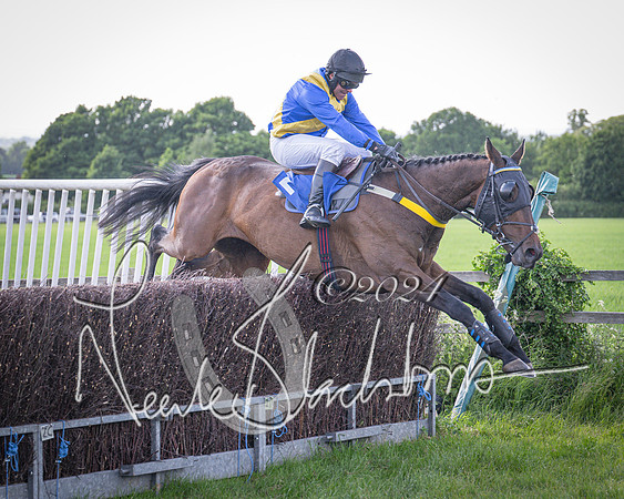 Race 6 - Thorn Plant Hire Maiden Race (101 of 129)