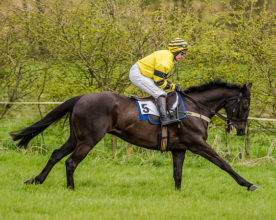 Race 7 - PPORA Members Conditions (44 of 192)