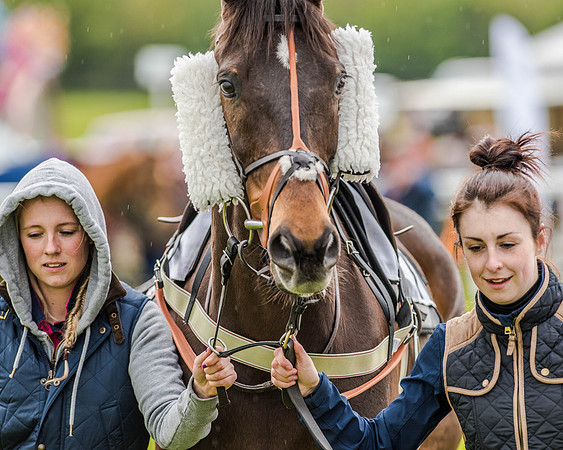 Race 7 - PPORA Members Conditions (26 of 192)