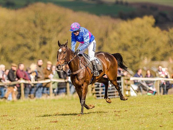 Race 4 - Ladies Open [Nov-Vet] (56 of 82).jpg