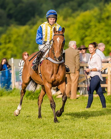 Race 7 - Div 2 - Open Maiden (56 of 163).jpg