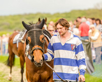 Race 6 - Open Maiden (12 of 130).jpg