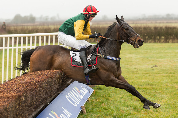 Race 1 - Confined Hunts (77 of 101).jpg