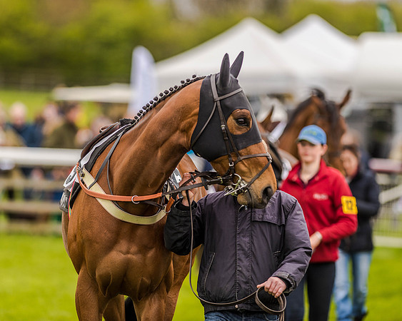 Race 2 - Open Maiden  (13 of 170).jpg