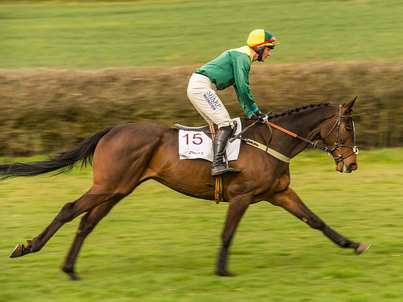Race 6 - Open Maiden Division 1  (60 of 133).jpg