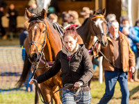 Race 6 - The Open Maiden (20 of 122).jpg