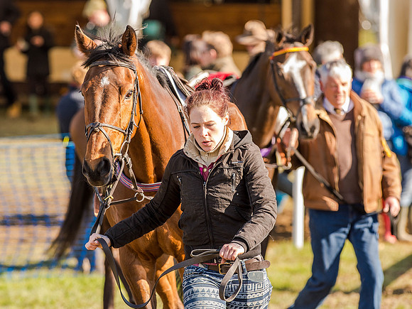 Race 6 - The Open Maiden (20 of 122).jpg