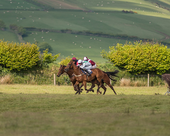 Race 5 - Intermediate Race (40 of 47).jpg