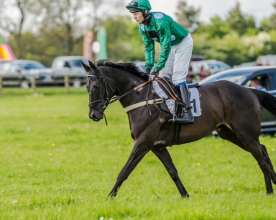 Race 4 - PPORA Novice Riders (65 of 196).jpg