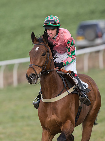Race 6 - Open Maiden (31 of 110).jpg
