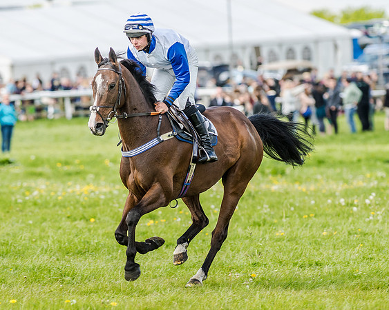 Race 4 - PPORA Novice Riders (66 of 196).jpg