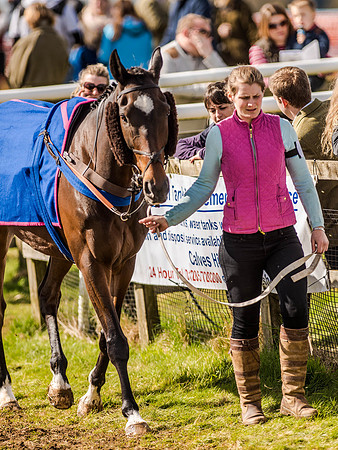 Race 4 - Ladies Open [Nov-Vet] (13 of 82).jpg