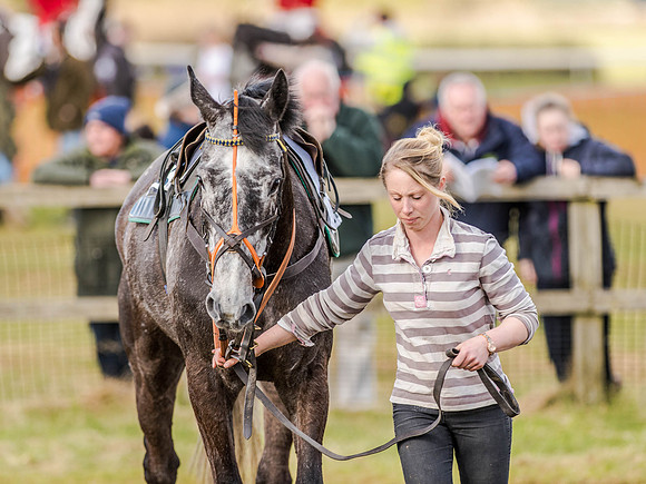 Race 6 - The Restricted Race [Nov-Vet] (10 of 84).jpg