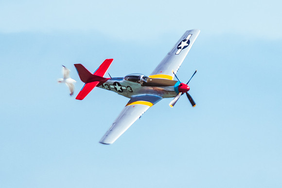 P-51 Mustang (8 of 19)