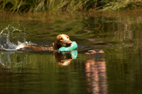 WCGB-04AUG-2013 Water Training Day  14