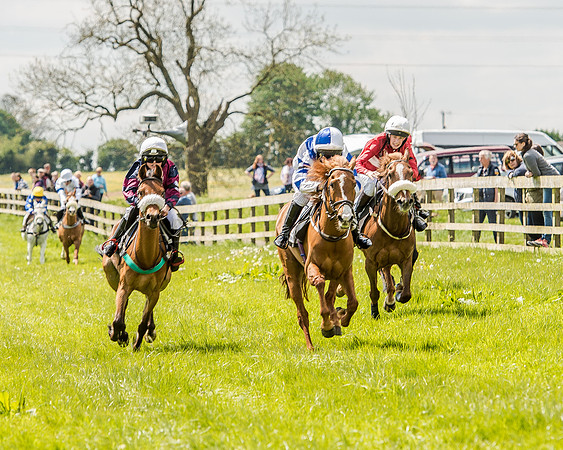 Pony Race 2 (48 of 57).jpg
