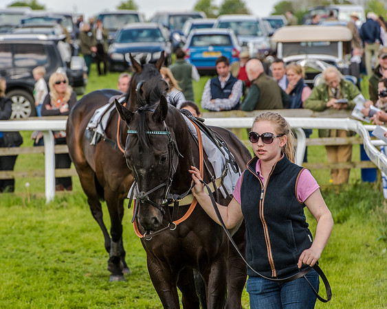 Race 4 - PPORA Novice Riders (45 of 196).jpg
