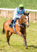 Pony Race 2 - 148cm  (20 of 49).jpg