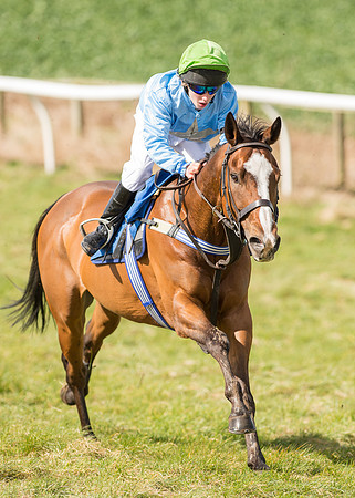 Pony Race 2 - 148cm  (20 of 49).jpg