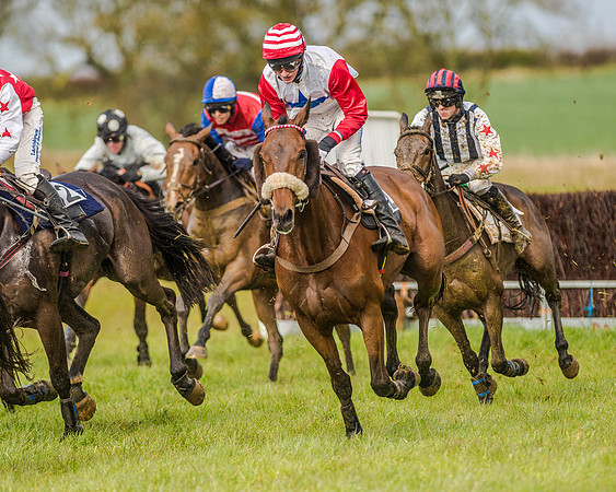 Race 5 - Open Maiden (101 of 147).jpg