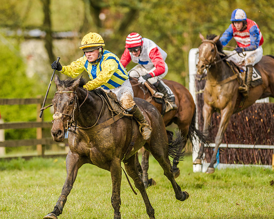 Race 5 - Open Maiden (114 of 147).jpg