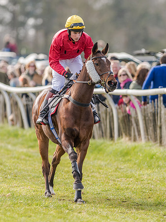 Race 4 - PPORA Club Members for Novice Riders (54 of 131).jpg