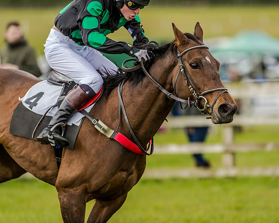 Pony Race 3 (52 of 78).jpg