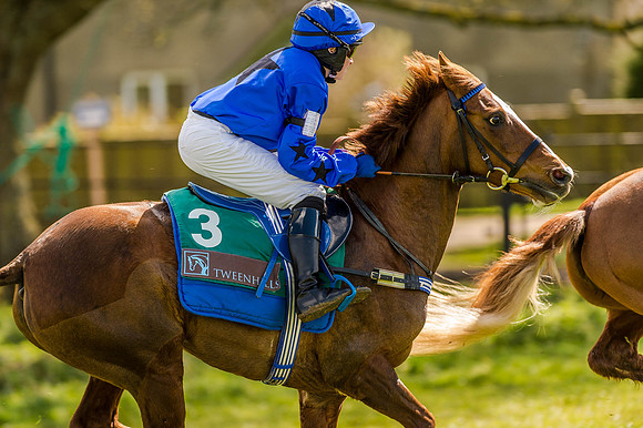 Pony Races (40 of 127).jpg