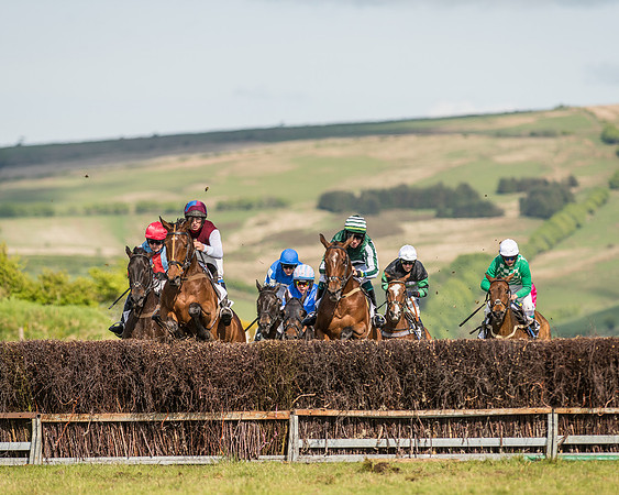 Race 6 - Open Maiden Race (46 of 71).jpg