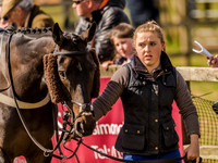 Race 4 - Ladies Open [Nov-Vet] (7 of 82).jpg