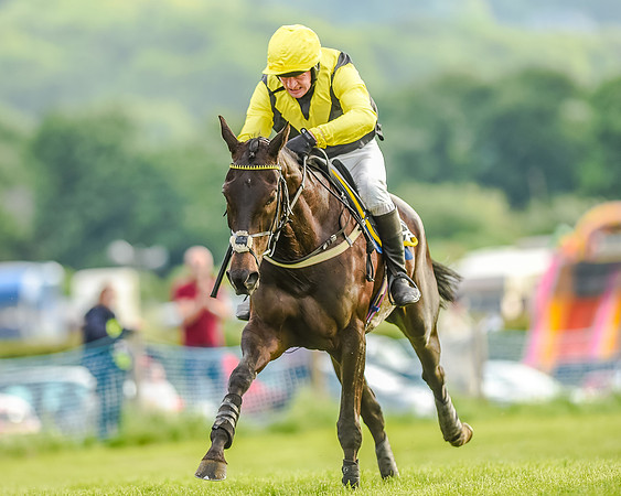 Race 7 - Div 2 - Open Maiden (122 of 163).jpg