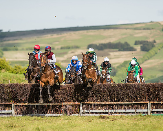 Race 6 - Open Maiden Race (47 of 71).jpg
