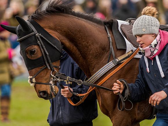 Race 3 - Young Horse maiden 2m5f (30 of 124).jpg