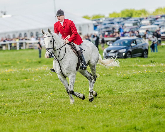 Race 4 - PPORA Novice Riders (48 of 196).jpg