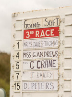 Race 3 - Young Horse maiden 2m5f (1 of 124).jpg