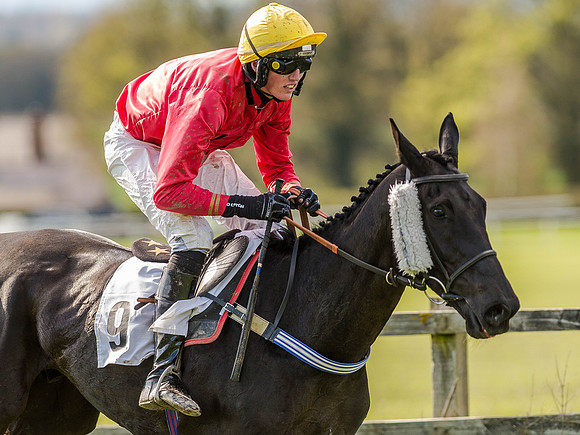 Race 5 - The Southern Grand national (58 of 96).jpg