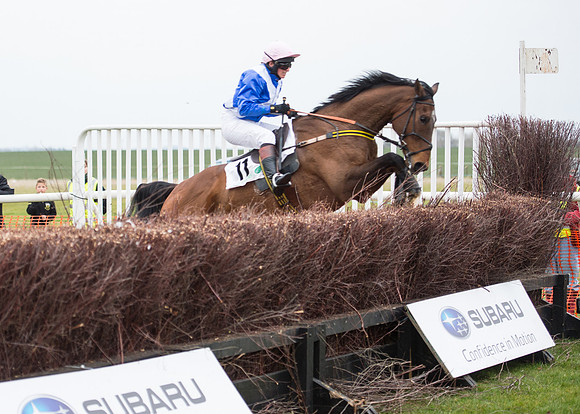 Race 7 - PPORA Novice Riders-72