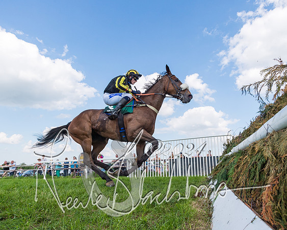 Race 5 - Restricted Race  (164 of 360)