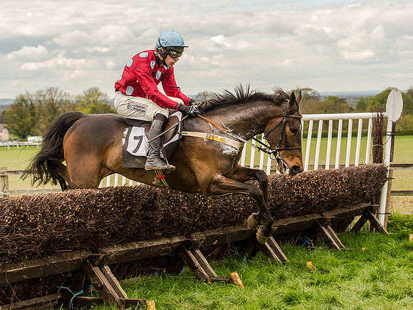 Race 3 - Young Horse maiden 2m5f (87 of 124).jpg