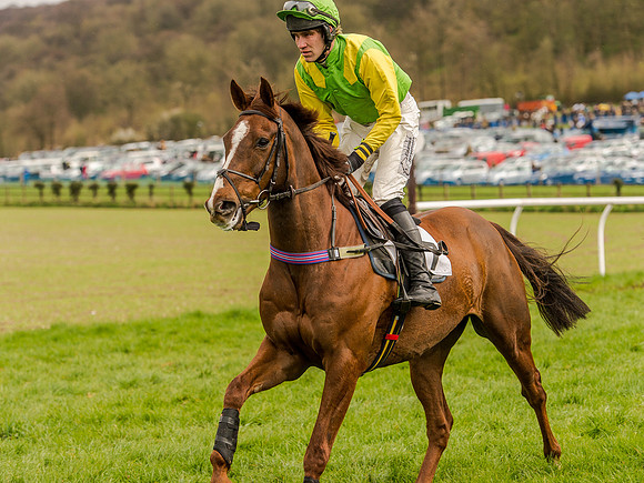 Race 1 - Confined Hunts (33 of 118).jpg