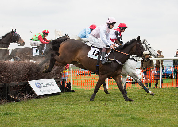 Race 6 - Confined Hunts-42