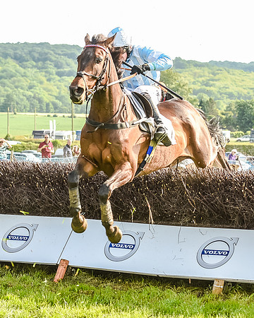 Race 7 - Div 1 - Open Maiden (60 of 94).jpg