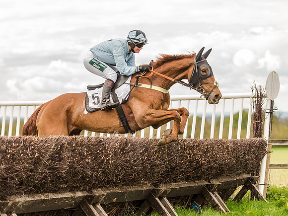 Race 3 - Young Horse maiden 2m5f (100 of 124).jpg