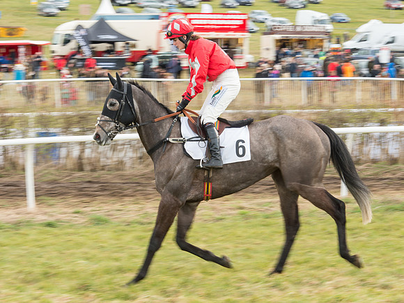 Race 6 - Open Maiden (19 of 110).jpg