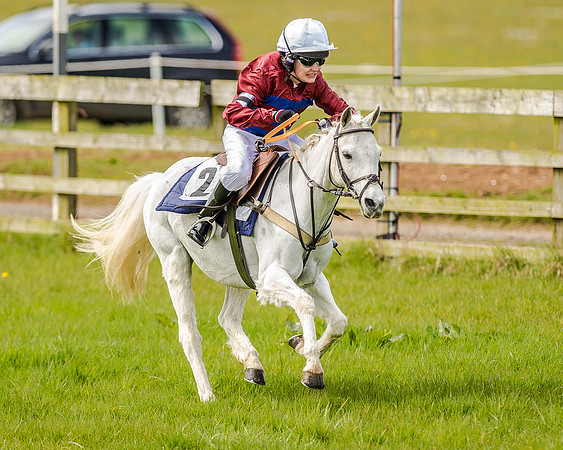 Pony Race 1  (52 of 65).jpg