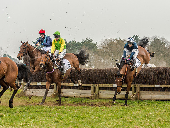 Race 5 - Open Maiden Division 2 (65 of 112).jpg