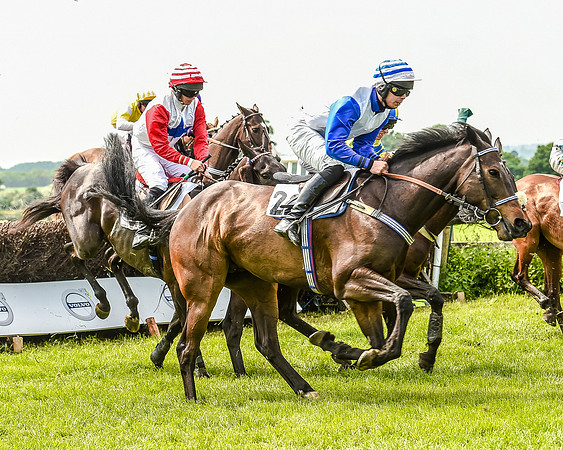 Race 2 - PPORA Members Novice Riders  (68 of 112).jpg