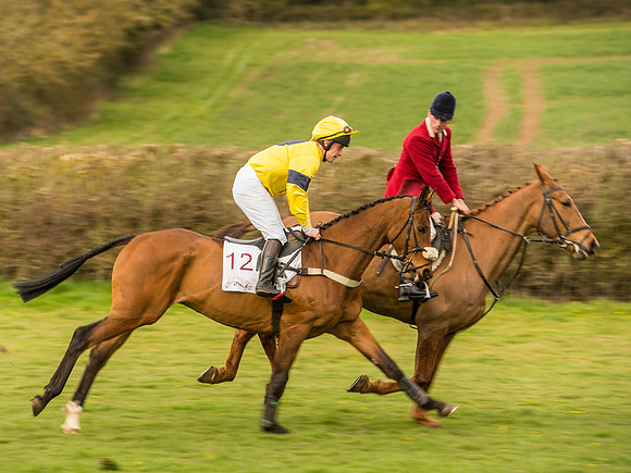 Race 6 - Open Maiden Division 1  (31 of 133).jpg